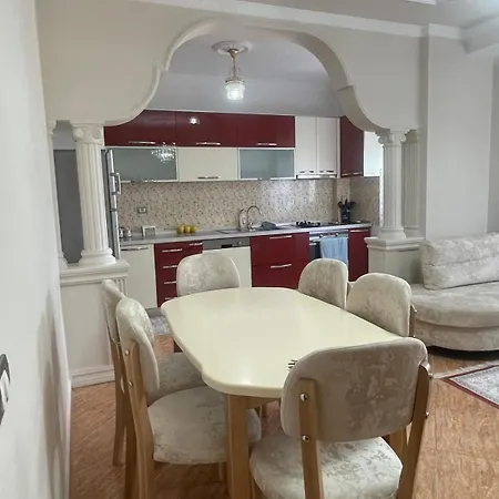 Away From * Shkodër